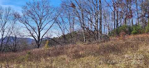 1 Gaylors Branch unit: 1, Balsam Grove, NC 28708