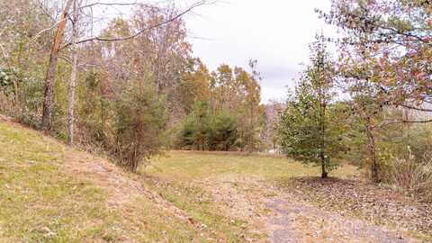 99999 Perrion Avenue, Weaverville, NC 28787
