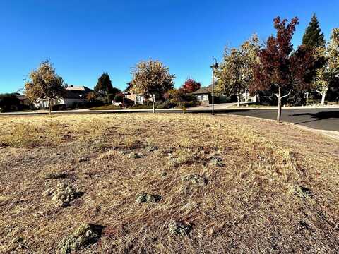 116 Greenstone Court, Copperopolis, CA 95228