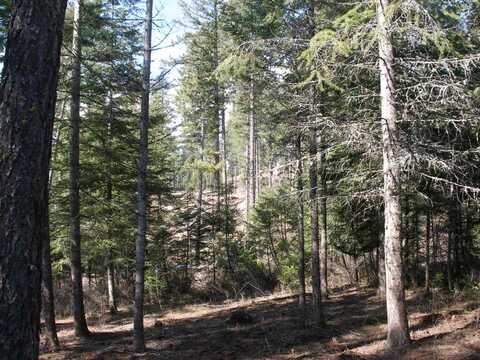 Lot 92 Buckrail Road, Harrison, ID 83833