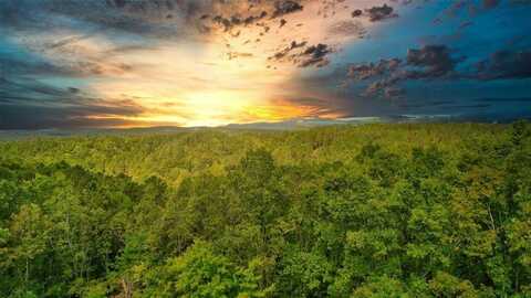 32 Oak Hill, Ellijay, GA 30540