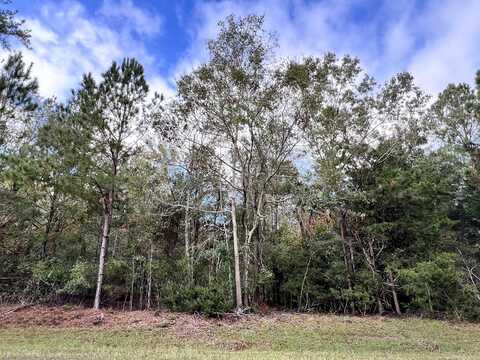 Lots B&c RIDGE Road, Appling, GA 30802