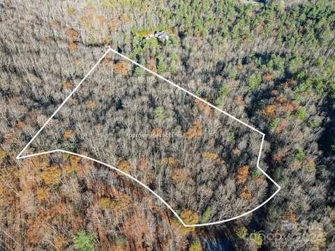 99999 Black Bear Ridge Trail, Zirconia, NC 28790