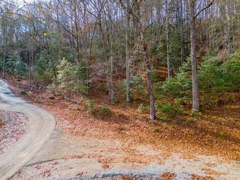 Cowee Creek Rd, Franklin, NC 28734