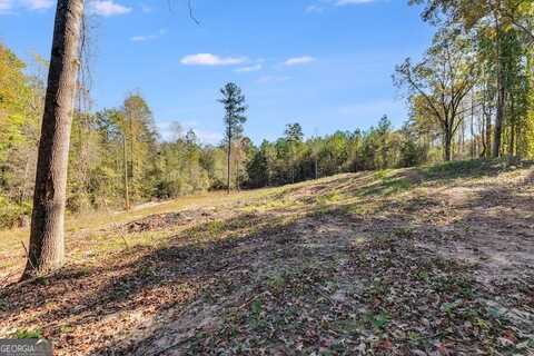 0 County, Lanett, AL 36863