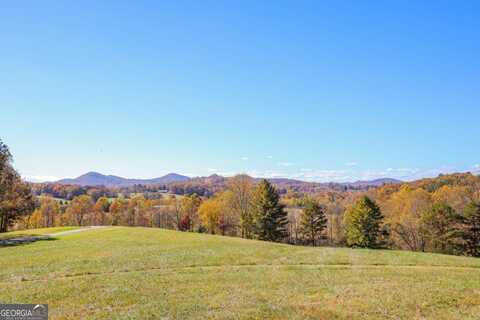 Lot 10 Hinton, Hayesville, NC 28904