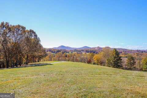 Lot 14 Hinton, Hayesville, NC 28904