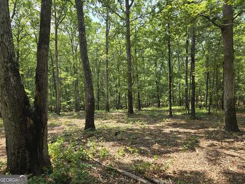 0 Faulkner, Monticello, GA 31064