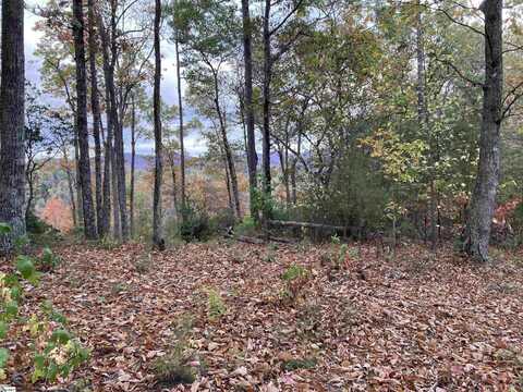 White Fox Trail, Marietta, SC 29661