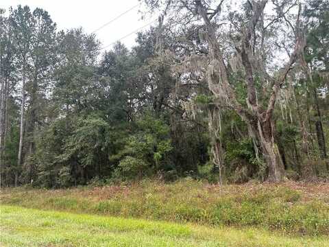 2129 Buck Swamp Road, Brunswick, GA 31523