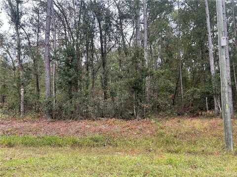 2137 Buck Swamp Road, Brunswick, GA 31523