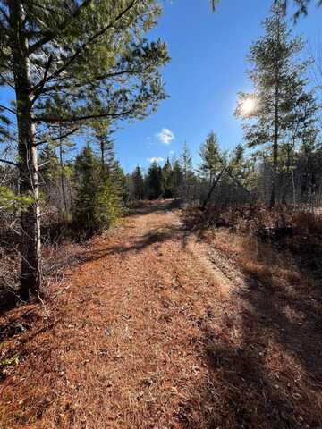 Duck Lake Trail, Newberry, MI 49868