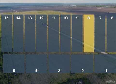 Lot 8 Jara Chinas Road, Edinburg, TX 78541