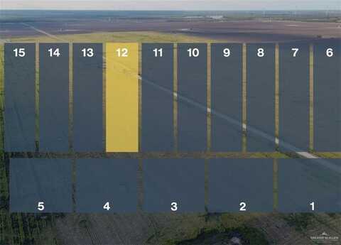 Lot 12 Jara Chinas Road, Edinburg, TX 78541