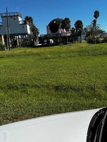 Oleander, Galveston, TX 77554