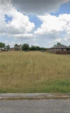 David Avenue, Mercedes, TX 78570