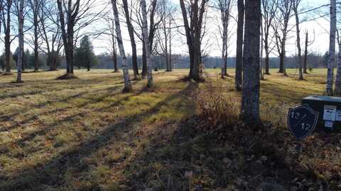 Lot 13 HUNTER CR, Antigo, WI 54409