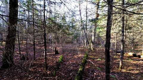 Lot 1 CTH G, Oma, WI 54534