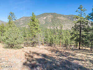 E Bouteloua Bend 11, Flagstaff, AZ 86001