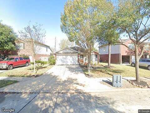 Turquoise Stream, HOUSTON, TX 77095