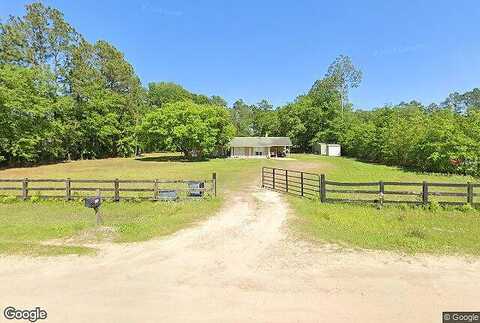 Carnation, MIDDLEBURG, FL 32068