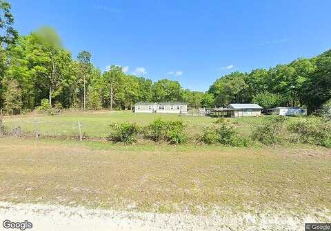 Spoonbill, FORT WHITE, FL 32038