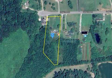 Oak Tree, BROWNSVILLE, KY 42210