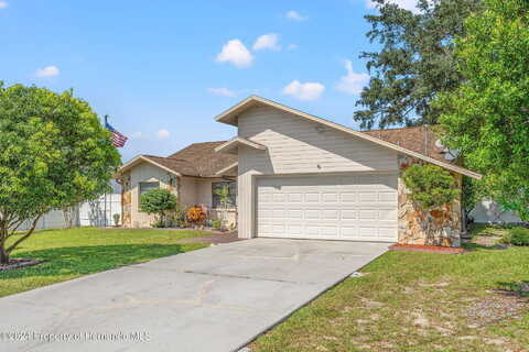 Blackhawk, SPRING HILL, FL 34606