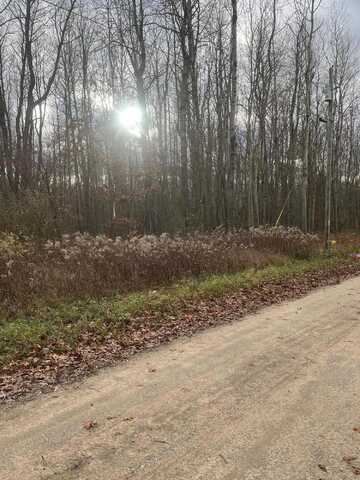 Lot 3 Pakes Road, Stanton, MI 48888