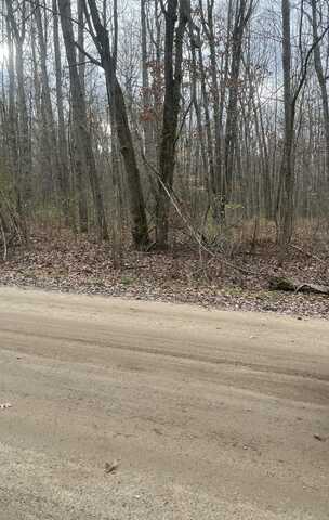 Lot 2 Wicker Road SE, Stanton, MI 48888