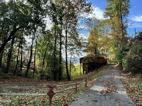 1036 E Foothills Drive, Gatlinburg, TN 37738