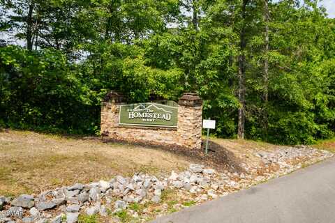 123 Long Rifle Road, Walland, TN 37886