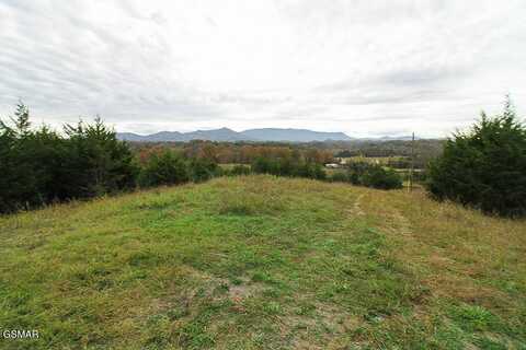 1420 Swannsylvania Road, Dandridge, TN 37725