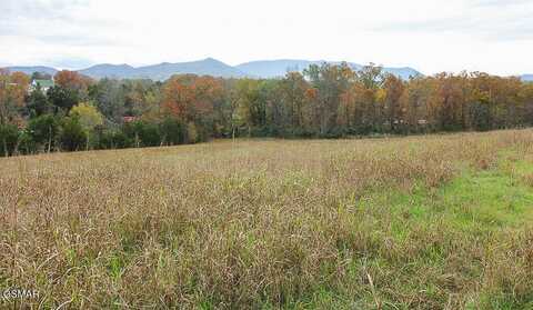 1440 Swannsylvania Road, Dandridge, TN 37725