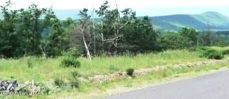 TH Lot139 Buttonbush Lane, Hazle Twp, PA 18202