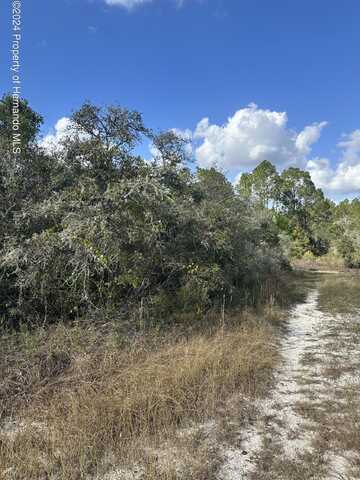 00 Coldrock Drive, Ridge Manor, FL 33597