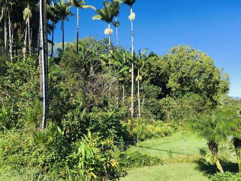 17-701 ALA RD, MOUNTAIN VIEW, HI 96771