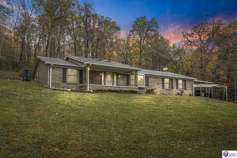 820 McCrary Road, Guston, KY 40142