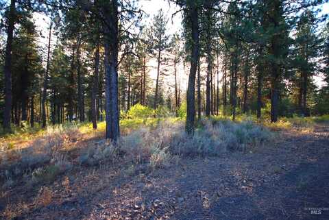 L5b4 Syringa Drive, New Meadows, ID 83654