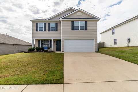 9420 Trout Lily Lane, Mascot, TN 37806