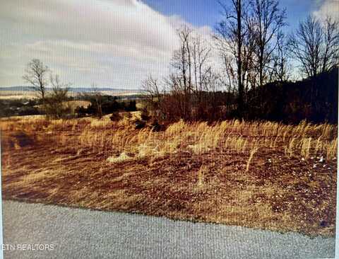 Trillium Dr. Lot 61 Drive, Andersonville, TN 37705
