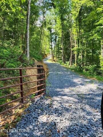 000 Tiger Lilly Drive, Cosby, TN 37722