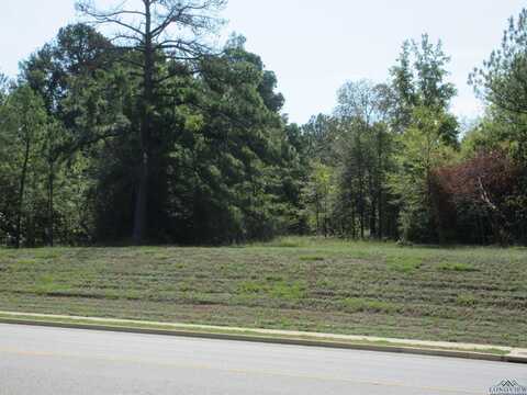 Tbd George Richey, Longview, TX 75605