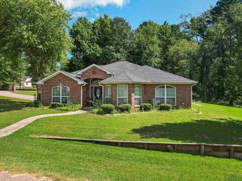 114 Heather Lane, Diana, TX 75640