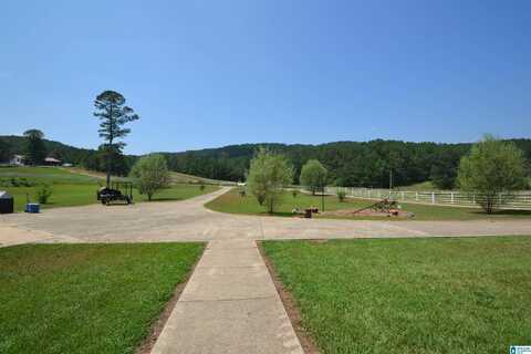 15200 COUNTY ROAD 63, CARBON HILL, AL 35549