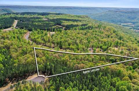 Honeybee Court, Jasper, TN 37347