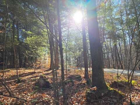 0 Avery Hand Lane, Parcel 5-2, New Lebanon, NY 12125