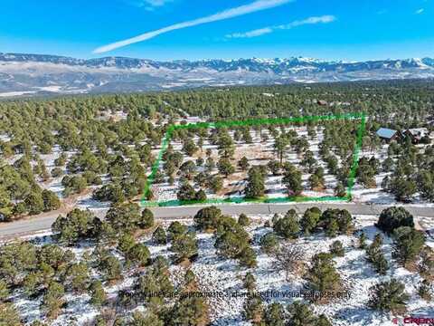 193 Fisher Canyon Drive, Ridgway, CO 81432