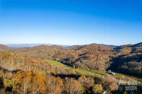 99999 S Turkey Creek Road, Leicester, NC 28748