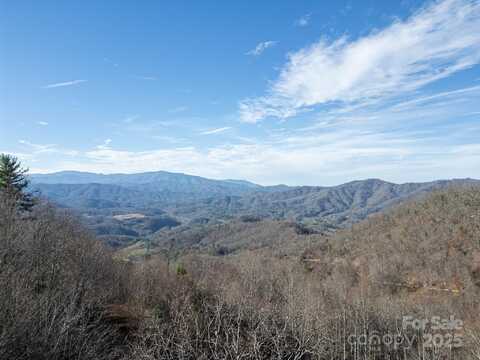 1098 Hyacinth Drive, Clyde, NC 28721